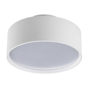 Светильник накладной Lightstar Acuto 215946