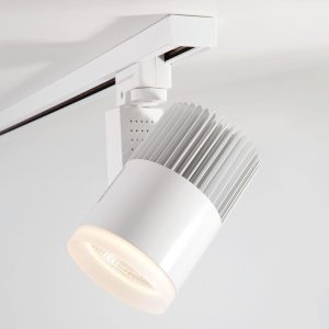 Трековый светодиодный светильник для однофазного шинопровода Accord белый 20W
            4200K (1 шт.) LTB17