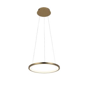 10014S Подвесной светильник LOFT IT Ring