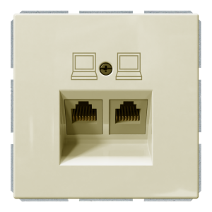 Розетка двойная компьютерная RJ45 cat 6 с накладкой - FD (сахара)