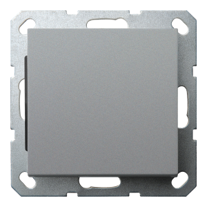 Выключатель 1-клавишный 10A с клавишей - G (алюминий - титан)