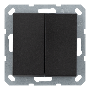 Выключатель 2-клавишный 10A с клавишами - G (антрацит)