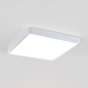 Накладной потолочный светодиодный светильник DLS034 24W 4200K