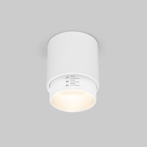 Потолочный светодиодный светильник Cors 25032/LED 10W 4200K белый