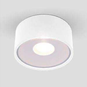 Уличный потолочный светильник Light LED 2135 IP65 35141/H белый