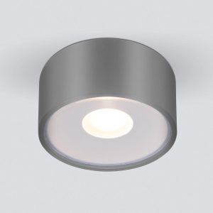 Уличный потолочный светильник Light LED 2135 IP65 35141/H серый