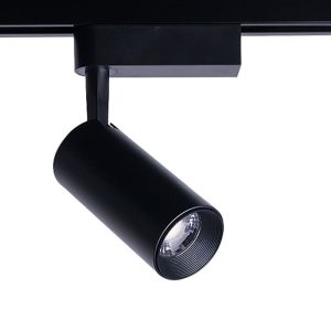 9007 Nowodvorski IRIS