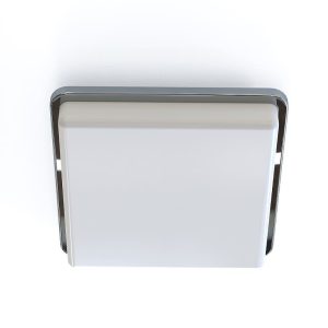 10035 Nowodvorski TAHOE