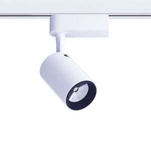 8995 Nowodvorski IRIS