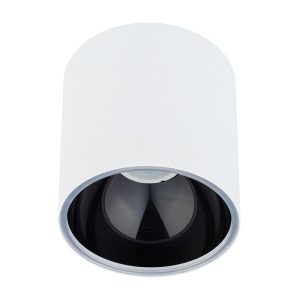 8195 Nowodvorski HALO