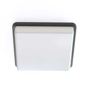 10038 Nowodvorski TAHOE