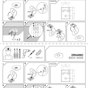 8305 Nowodvorski ORGANIC