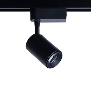 8998 Nowodvorski IRIS