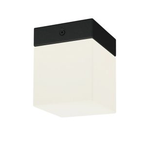 8054 Nowodvorski SIS