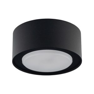 8203 Nowodvorski FLEA