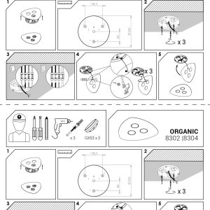 8304 Nowodvorski ORGANIC