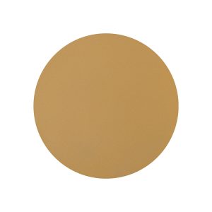 10351 Nowodvorski RING