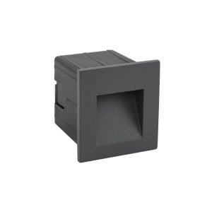 6907 Nowodvorski STEP