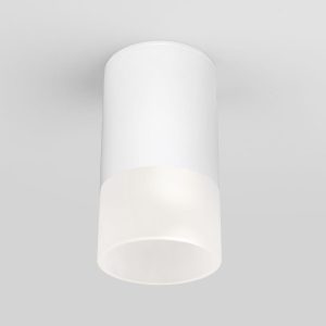 Уличный потолочный светильник Light LED 2106 IP54 35139/H белый