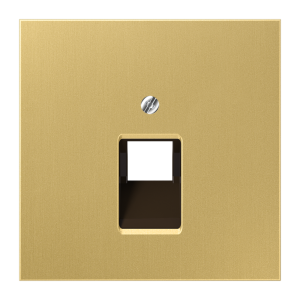 Накладка на розетку информационную JUNG LS METAL, латунь