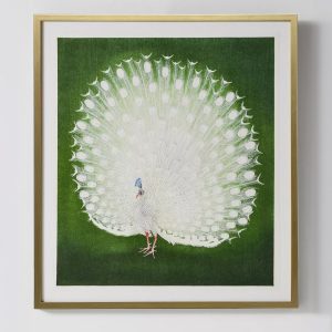 Интерьерный постер "White Peacock"