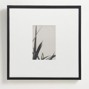 Интерьерный постер "Floral - II"