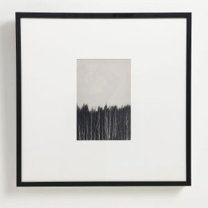 Интерьерный постер "Forest"