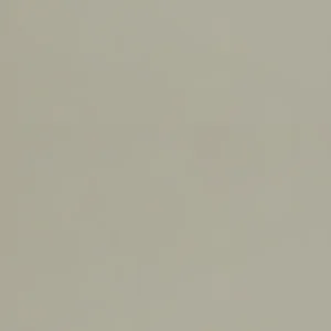 Vanguard Valero Заглушка 2 модуля