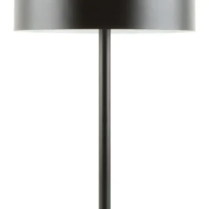 Настольная лампа Arte Lamp Skat A7052LT-2BK