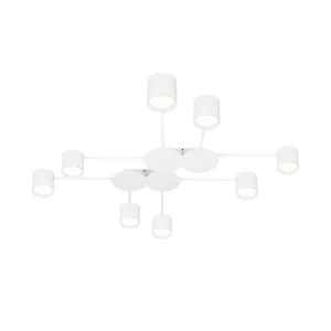 Потолочная люстра Arte Lamp Legacy A8024PL-8WH
